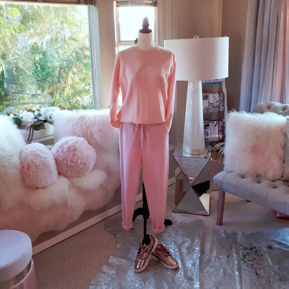 NWT U.S. Vintage blush pink “Dog Mom” sweatshirt, S - Picture 2 of 9